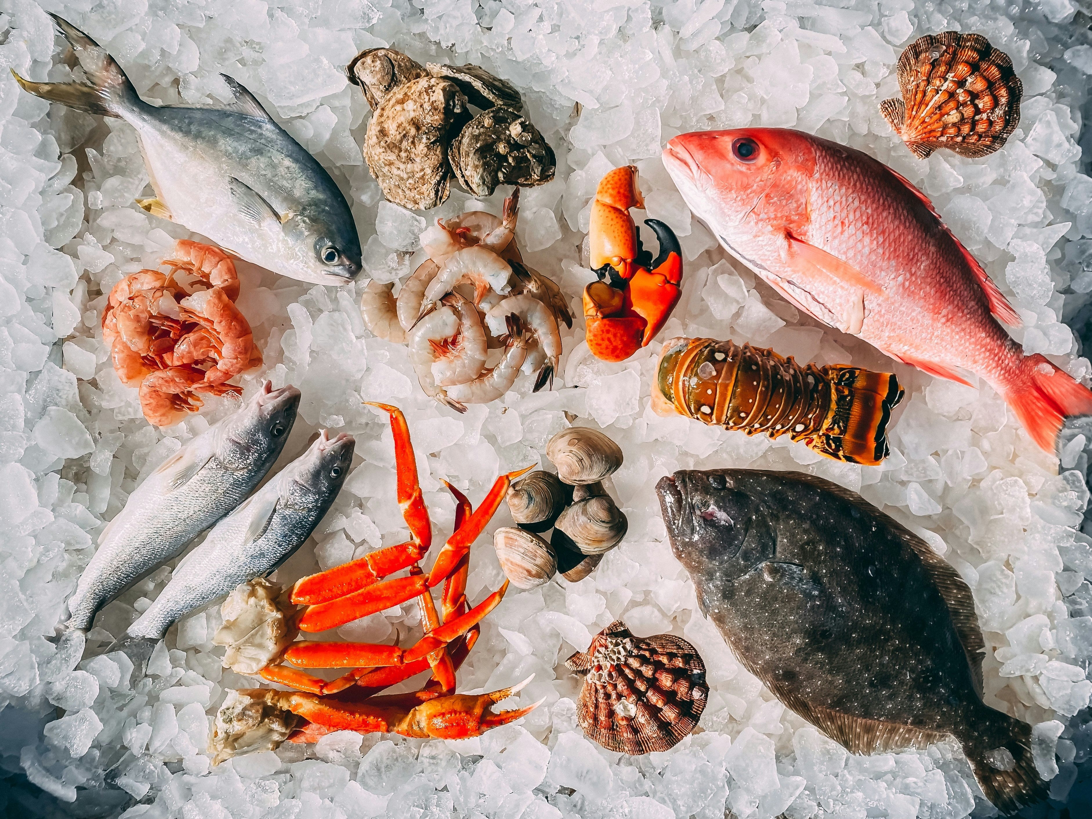 Fish & Seafood