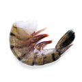 16-20 EZ Peel Black Tiger Shrimp 5lb bag