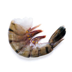 16-20 EZ Peel Black Tiger Shrimp 5lb bag