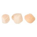 Sea Scallops 30-40/lb