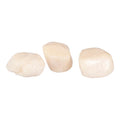 Sea Scallops 20-30/lb