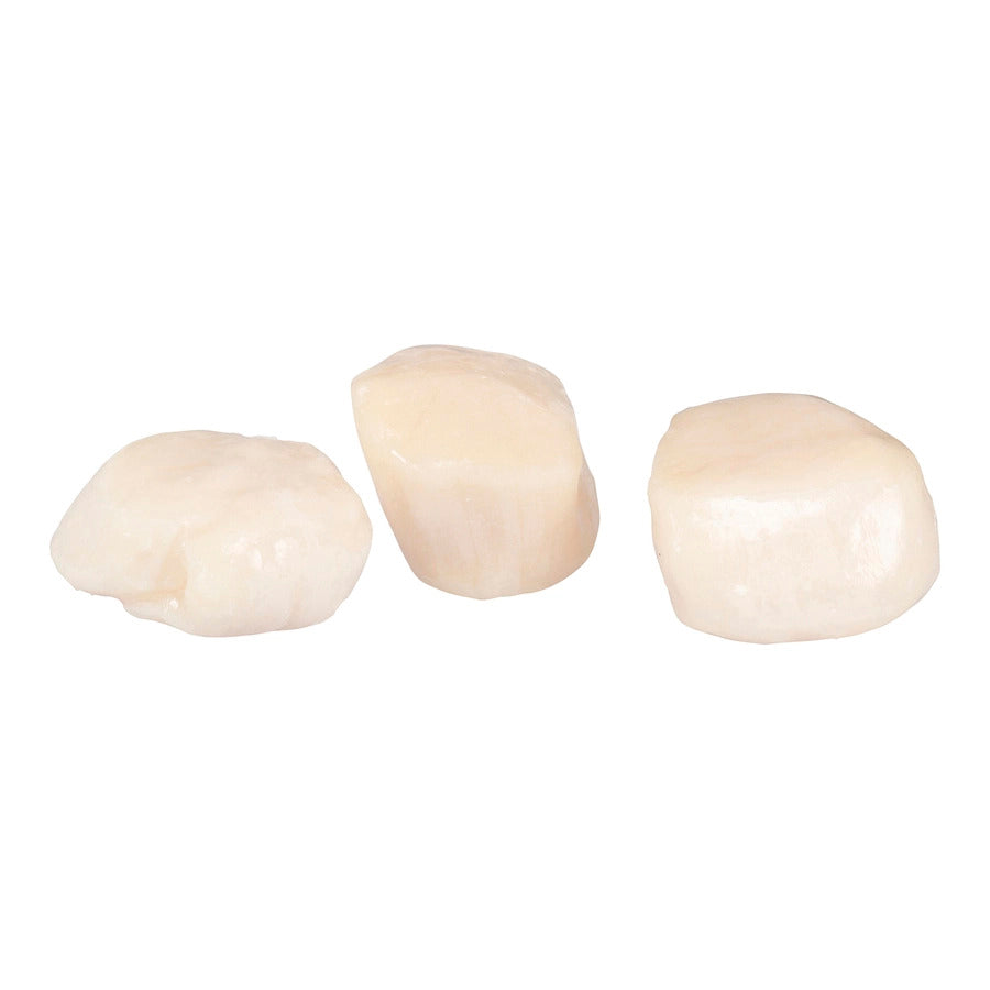 Sea Scallops 20-30/lb