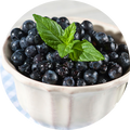 Wild Blueberries