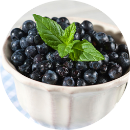 Wild Blueberries