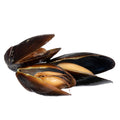 Shell-on Cooked Cultured Mussels