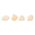 Bay Scallops 60-80/lb