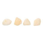 Bay Scallops 60-80/lb