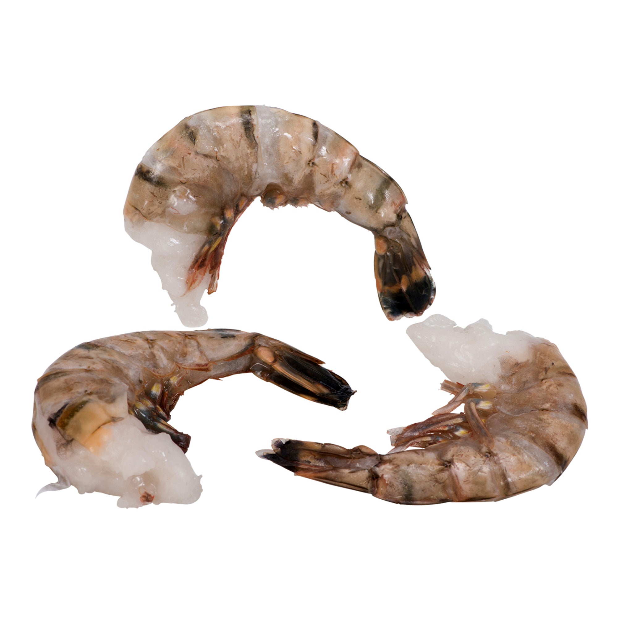 Raw Black Tiger Shrimp EZ Peel 8-12/lb