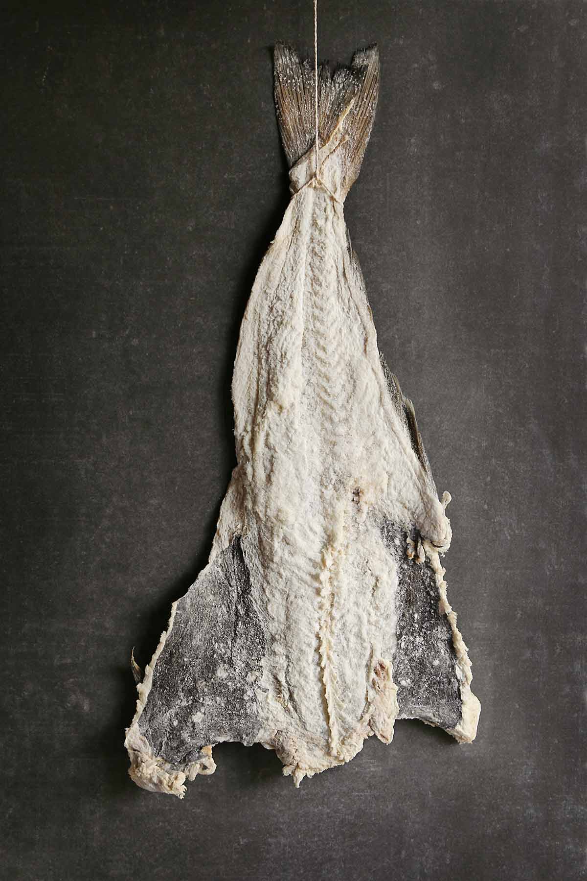 Dry Salted Cod