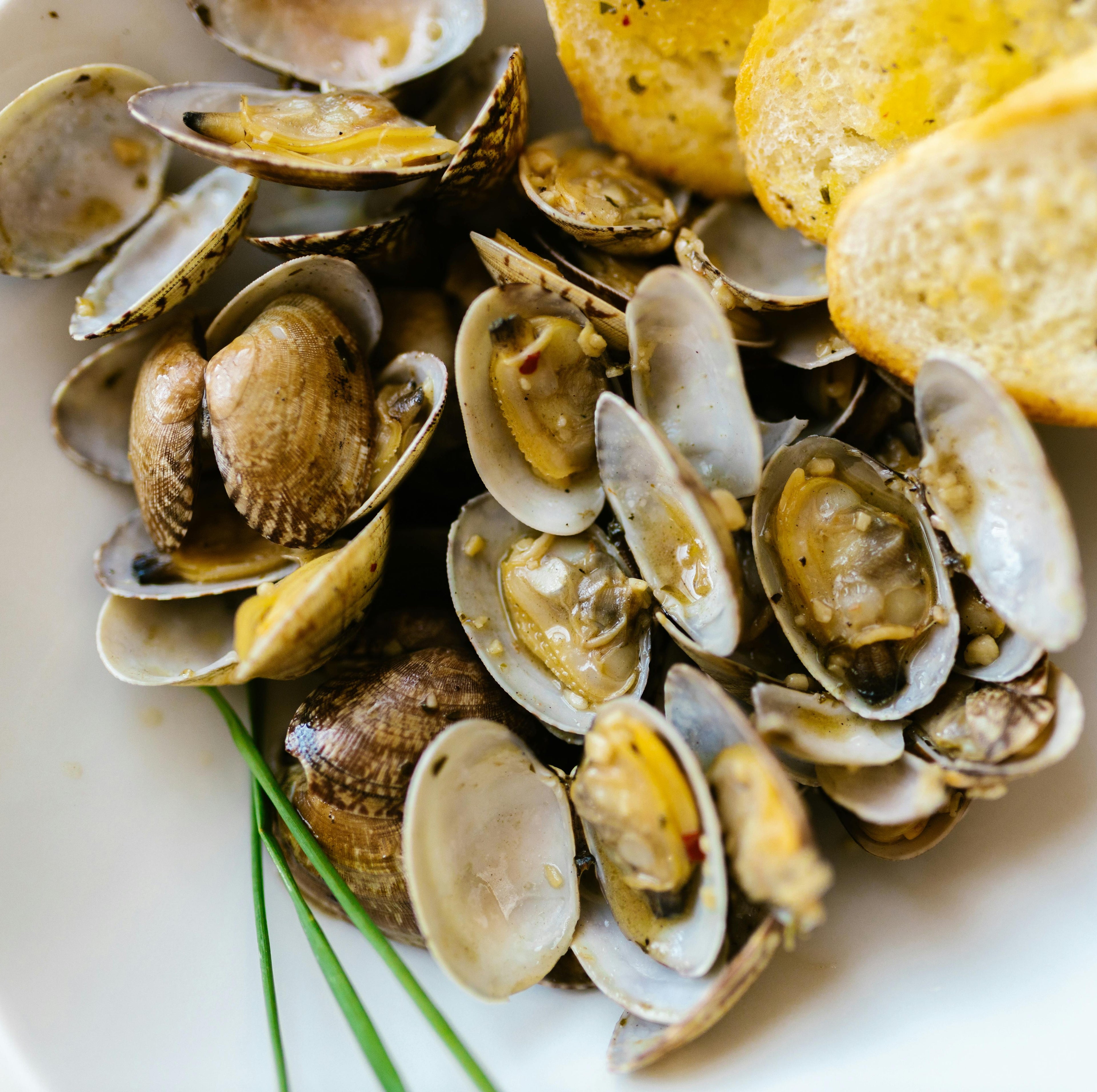 Cooked White Clams