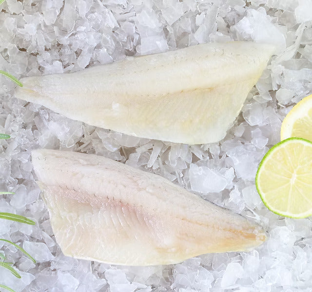 European Lake Yellow Perch