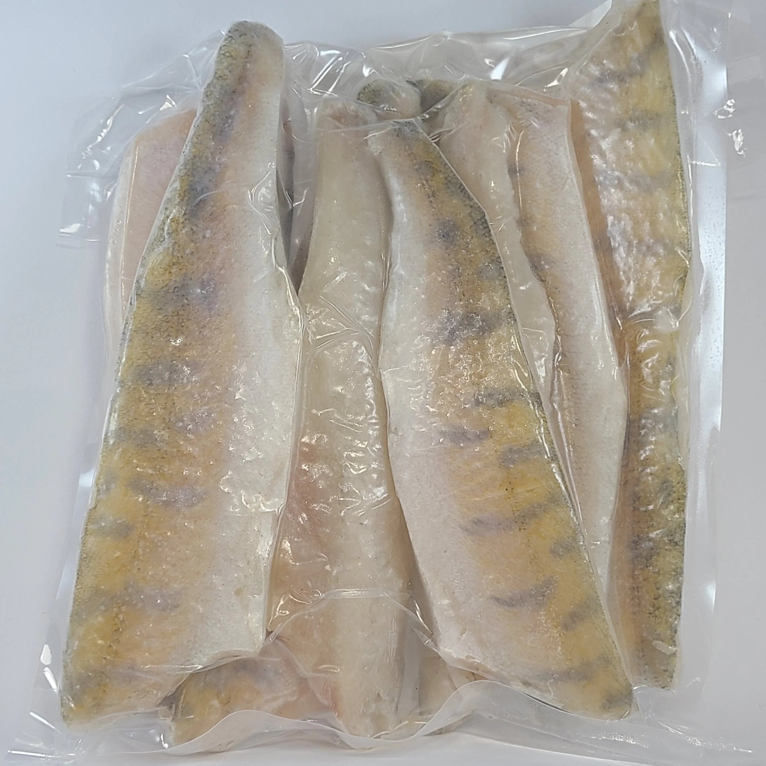 European Pike Perch (Zander)