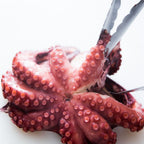 Moroccan Octopus 4-6lbs