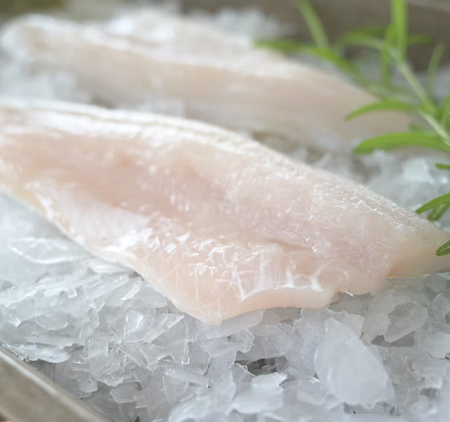 Lake Erie Pickerel