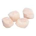 Sea Scallops 10-20/lb
