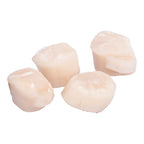 Sea Scallops 10-20/lb