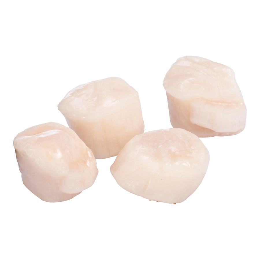 Sea Scallops 10-20/lb