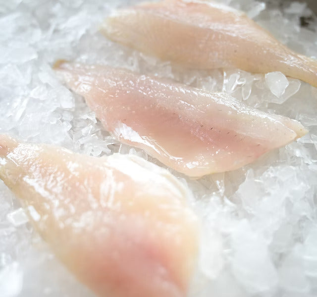 Lake Erie Yellow Perch