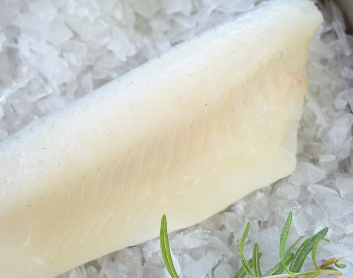 European Pike Perch (Zander)