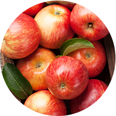 Apples, Sliced