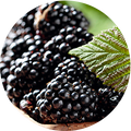 Blackberries