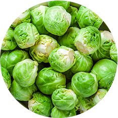 Brussel Sprouts