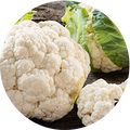 Cauliflower Florets