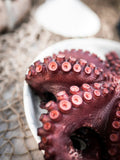 Moroccan Octopus 4-6lbs