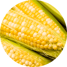 Corn, Peaches & Cream
