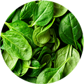 Chopped Spinach