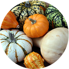 Butternut Squash Diced